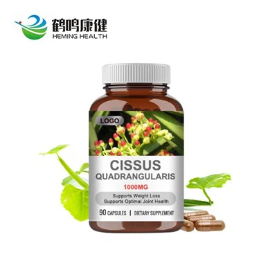 Cissus Quadrangularis-Kapseln