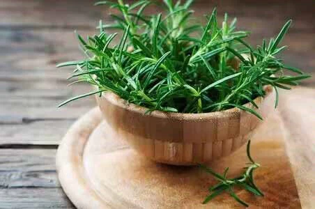 Rosemary Rosemary