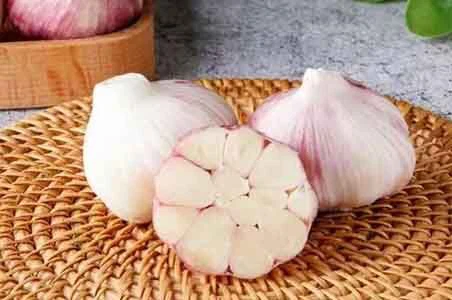Garlic Garlic